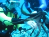 Underwater 16
